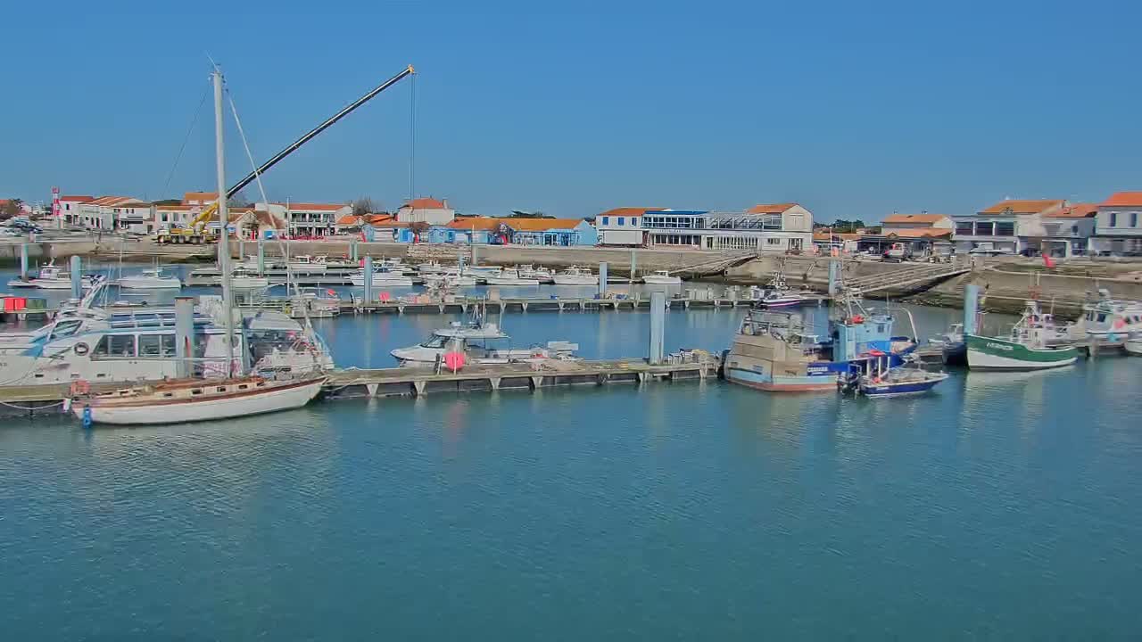 A harbor filled with various boats, including sailboats and fishing vessels, is situated in front of a waterfront town under a clear blue sky.