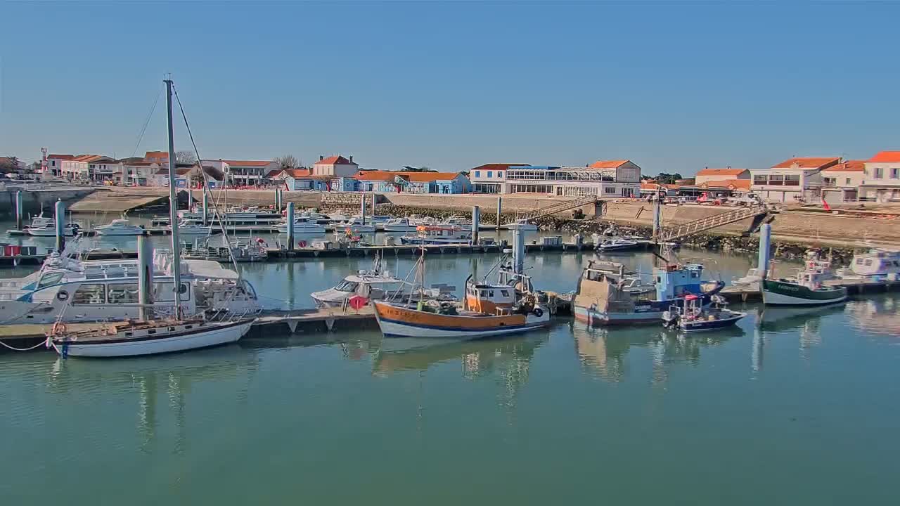 A harbor filled with various boats, including sailboats and fishing vessels, is situated in front of a waterfront town under a clear, sunny sky.