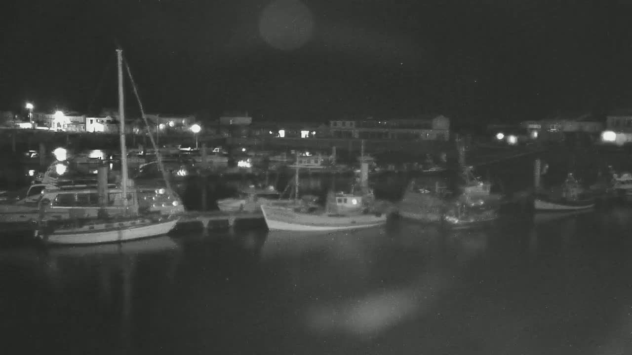 Several boats are moored at a dock at night under a dark sky.