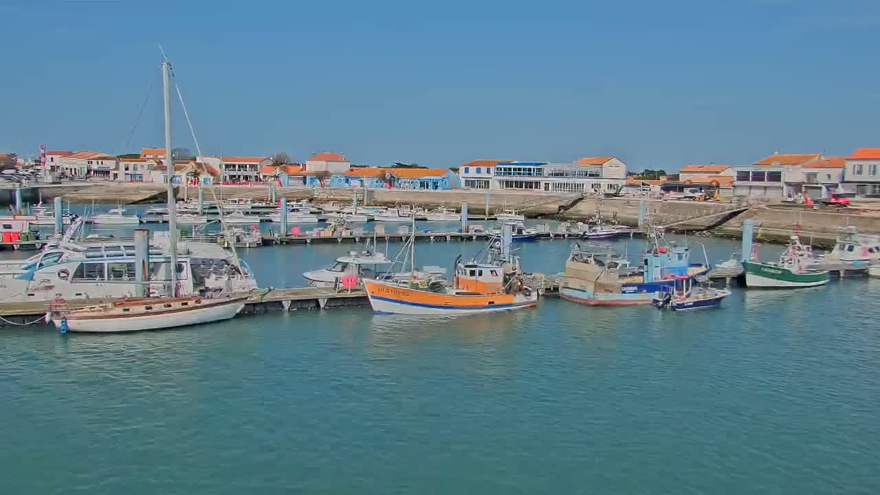 A harbor filled with various boats, including sailboats and fishing vessels, is situated in front of a waterfront town on a clear, sunny day.