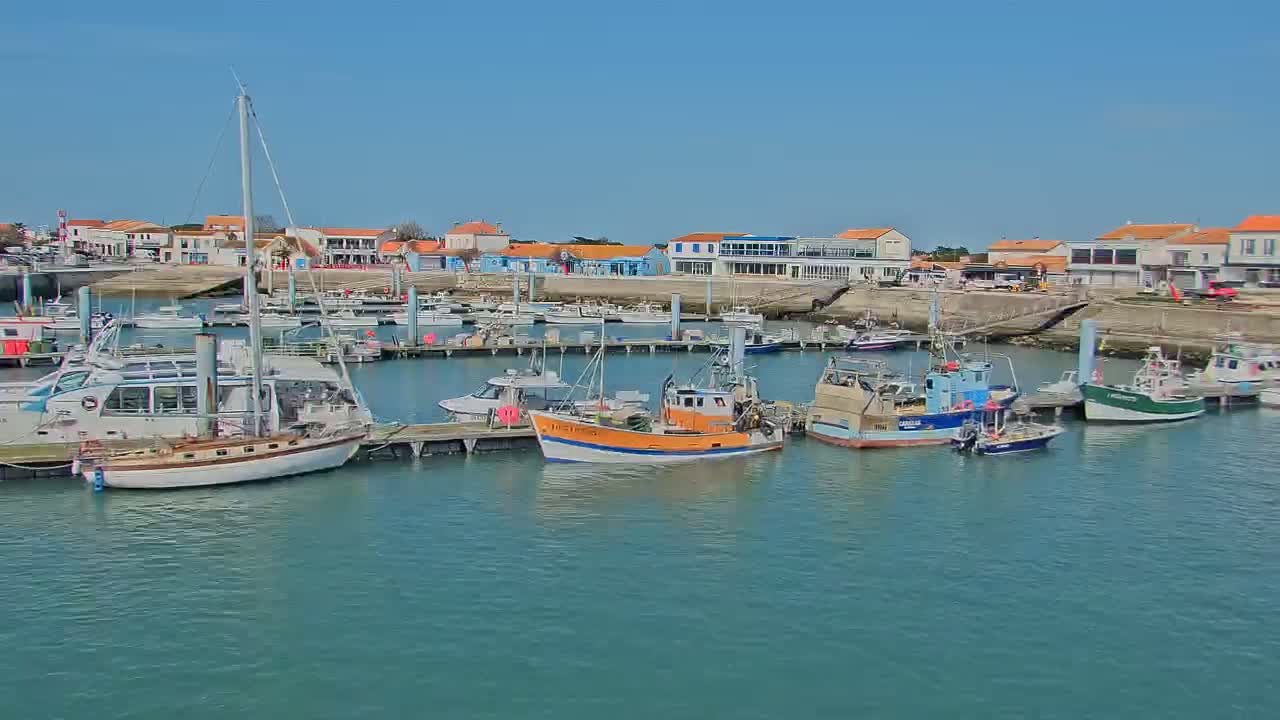 A harbor filled with various boats, including fishing vessels and sailboats, is situated in front of a waterfront town on a sunny day.