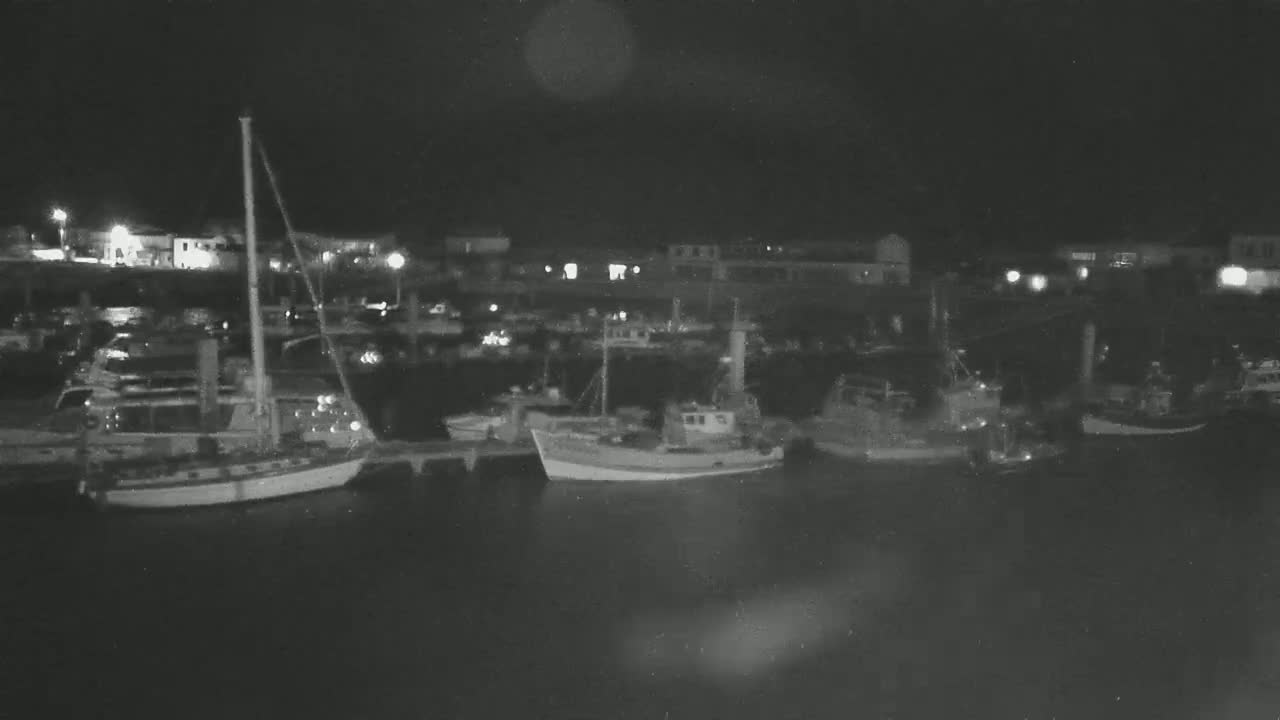 Several boats are moored at a dock at night.