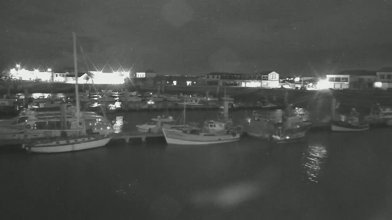 A nighttime harbor scene shows numerous boats moored at docks under a dark sky.