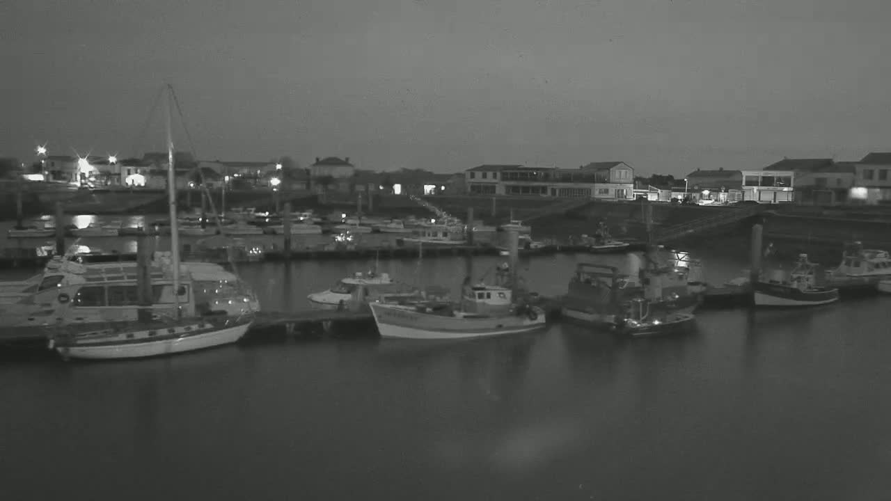 A nighttime harbor scene shows numerous boats docked along a pier, with buildings lining the waterfront under a dark, overcast sky.