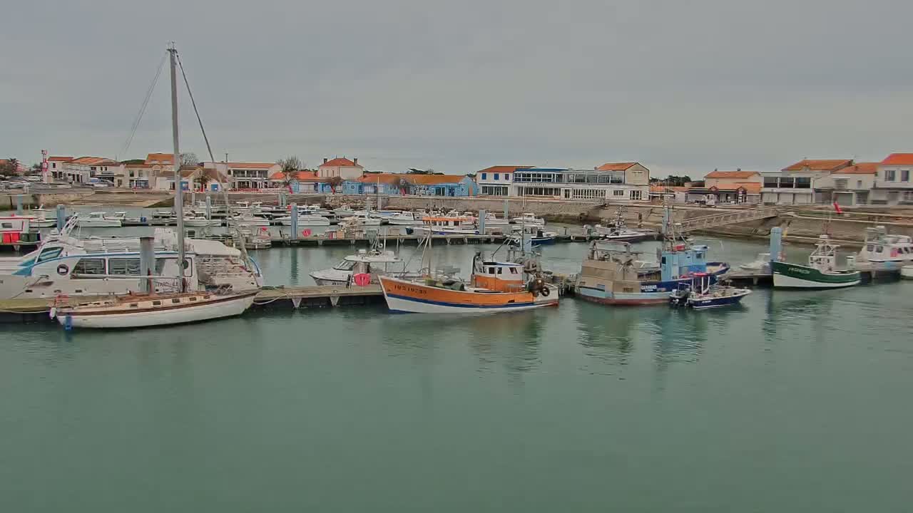 A harbor filled with various boats, including fishing vessels and sailboats, is situated in front of a row of buildings on an overcast day.