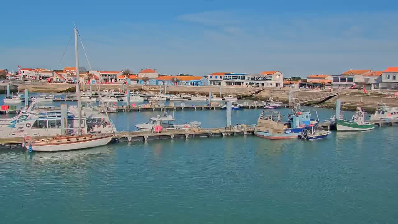 A marina filled with various boats and yachts is situated in front of a waterfront town on a sunny day.