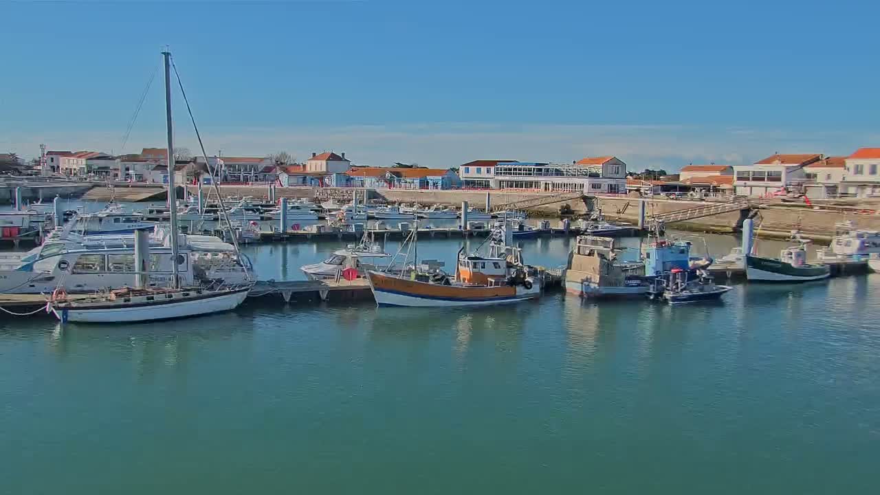 A marina filled with sailboats and fishing boats is situated in front of a waterfront town under a clear blue sky.