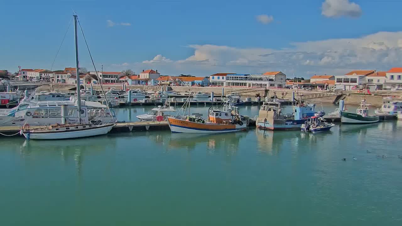 A harbor filled with sailboats and fishing boats is situated in front of a waterfront town under a partly cloudy blue sky.
