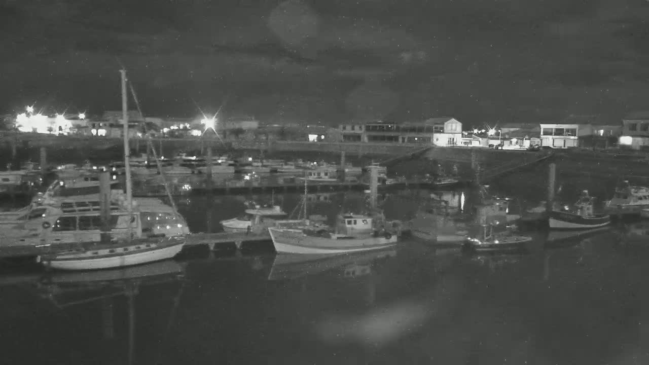 Numerous boats are moored in a harbor at night under a dark, cloudy sky.