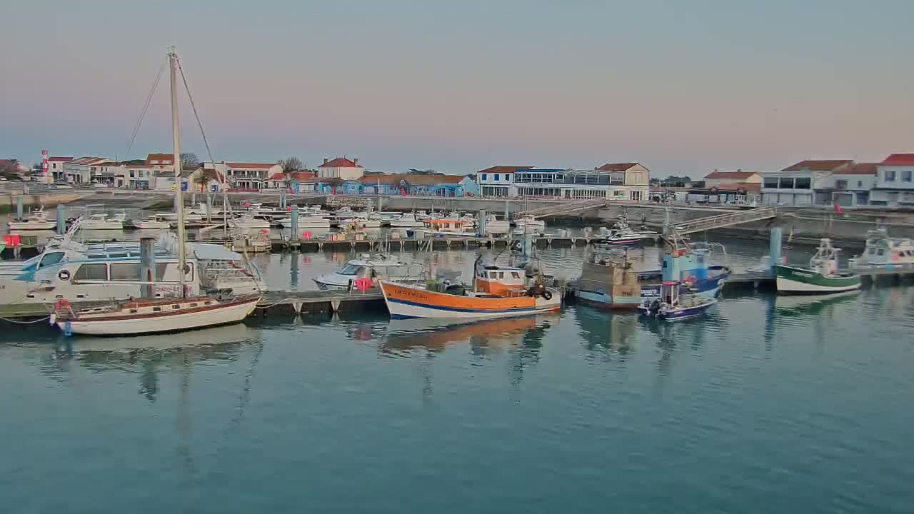 A calm harbor filled with various boats and yachts is nestled next to a waterfront town under a pale sky.