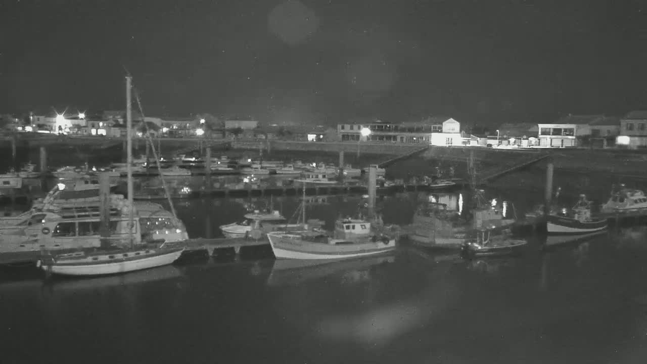 Numerous boats are docked at a marina at night under a dark sky.