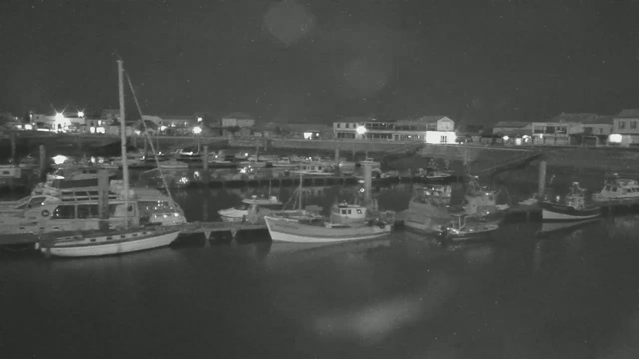 Many boats are docked at a harbor at night under a dark sky.