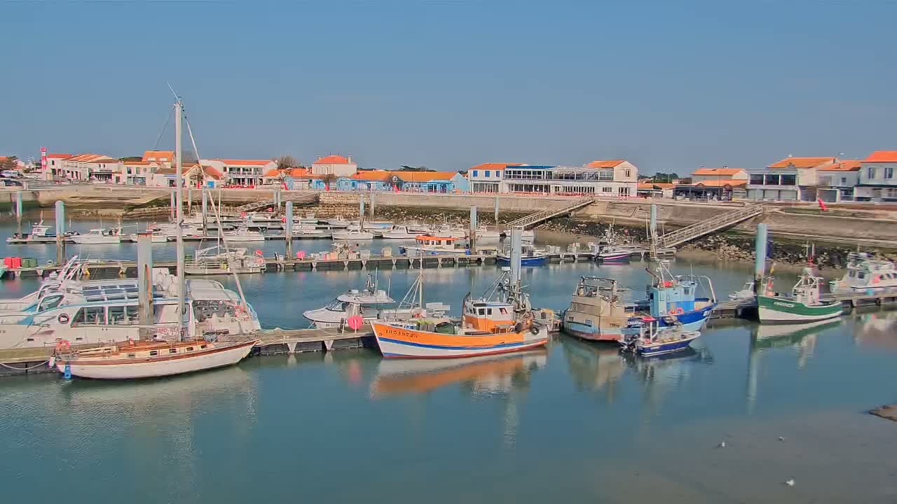 A harbor filled with docked boats and sailboats, under a clear blue sky, is situated in front of a waterfront village.