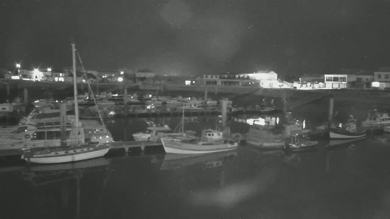 A nighttime view of a harbor filled with numerous boats docked along a waterfront, under a dark sky.