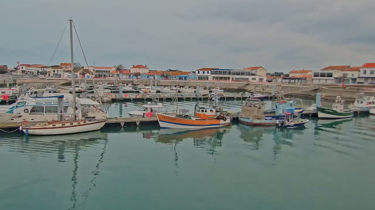 A calm harbor filled with various boats, including sailboats and fishing vessels, is situated in front of a waterfront town under an overcast sky.