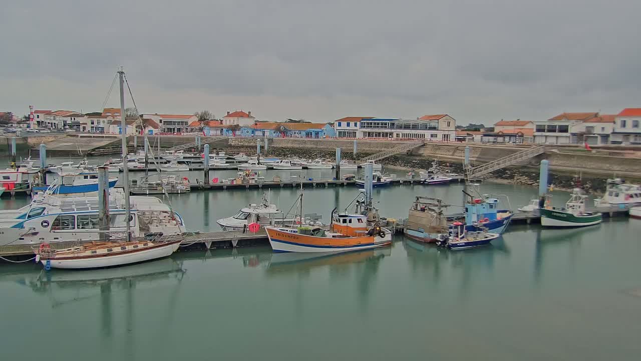 Many boats are moored in a harbor on a cloudy day, with buildings lining the waterfront.