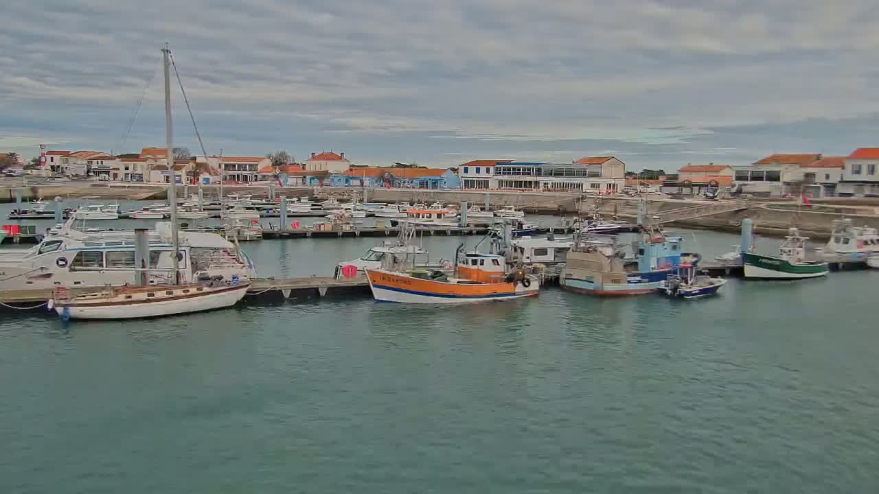 A harbor filled with various boats, including sailboats and fishing vessels, is situated in front of a waterfront town under a cloudy sky.