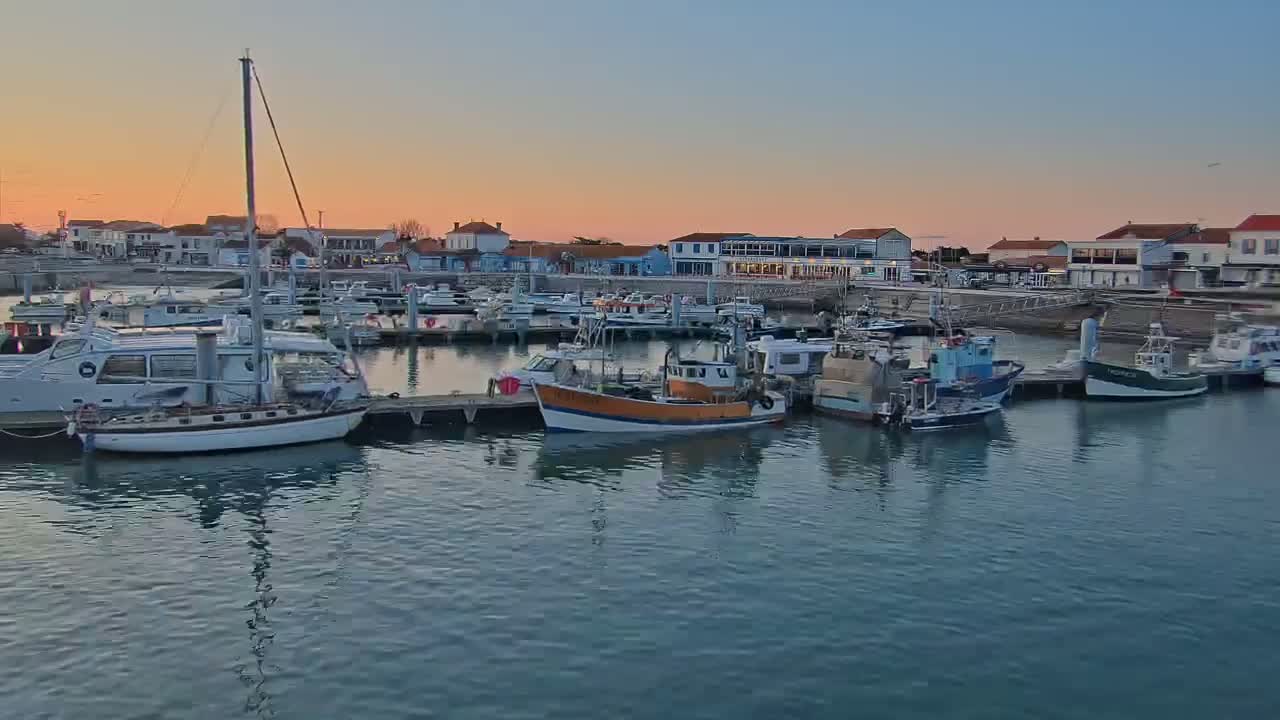 A calm harbor filled with sailboats and fishing boats at sunset, next to a waterfront town.