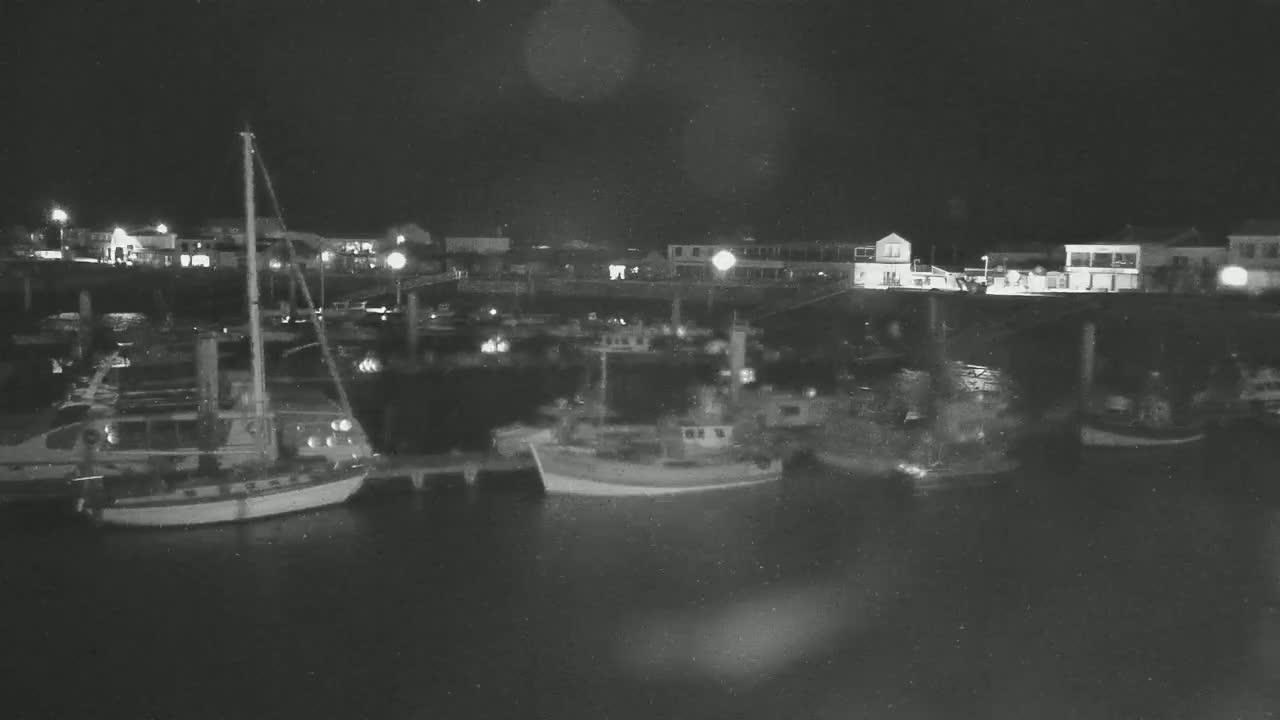 Several boats are moored in a harbor at night under a dark sky.
