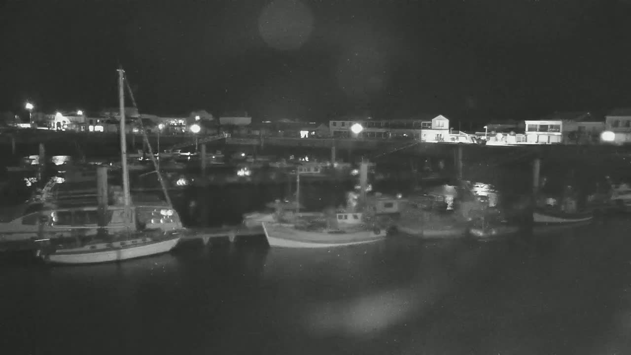 Several boats are moored in a harbor at night, with buildings and lights visible along the shoreline.