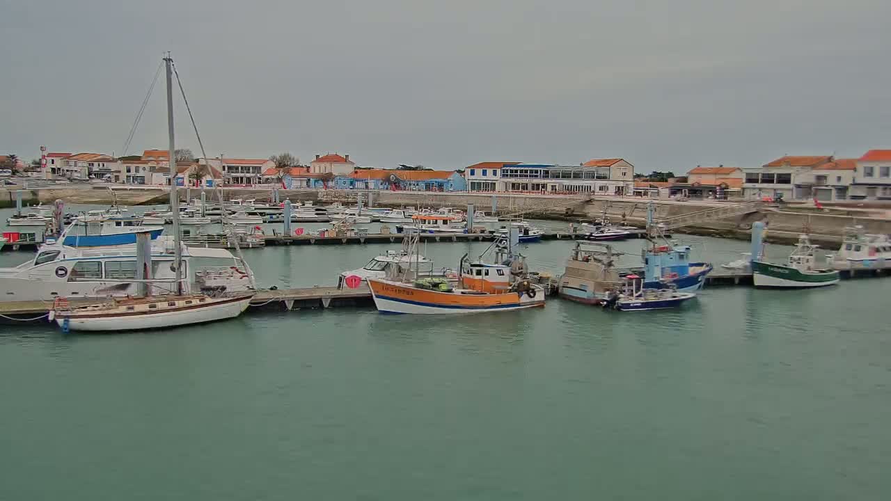 A harbor filled with various boats, some docked and others in the water, sits in front of a waterfront town under an overcast sky.