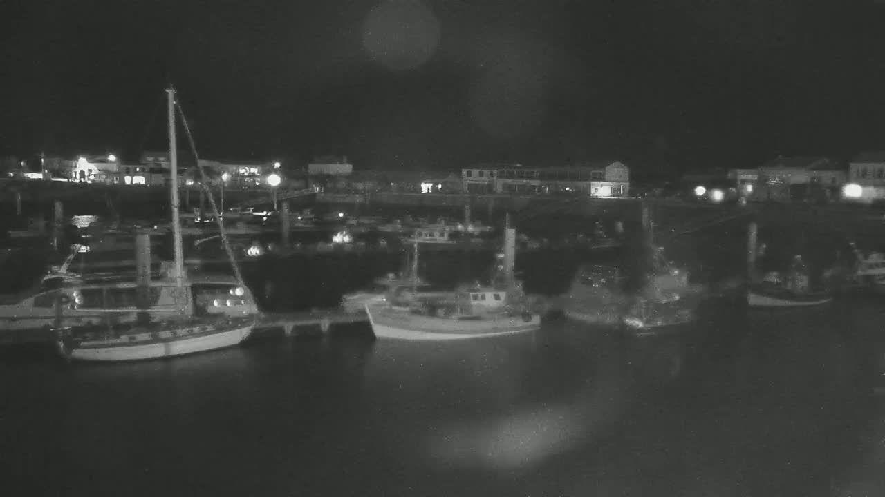 Several boats are moored at a dock at night under a dark sky.