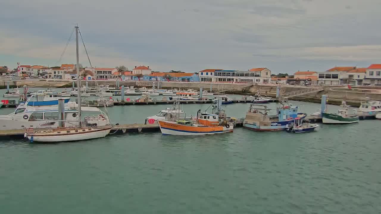 A harbor filled with various boats, including fishing vessels and sailboats, is situated in front of a waterfront town under a cloudy sky.
