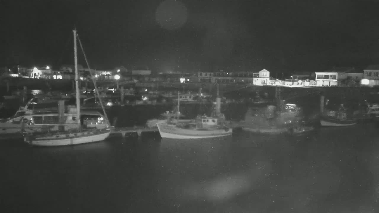 Several boats are moored at a harbor at night under a dark, possibly overcast sky.