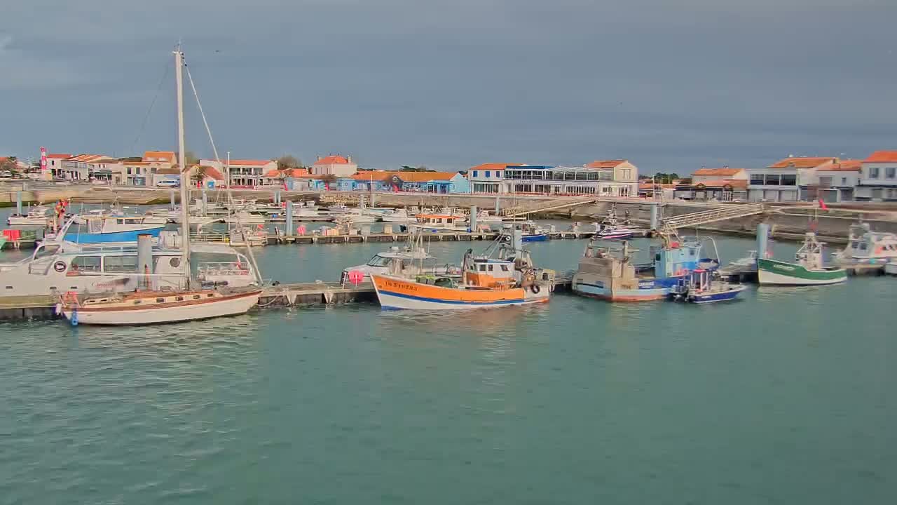 A harbor filled with sailboats and fishing boats sits in front of a waterfront town under an overcast sky.