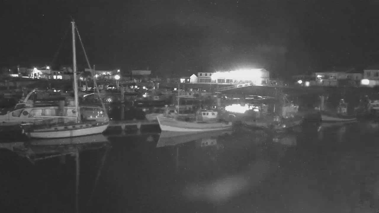 A nighttime view of a harbor filled with boats, illuminated by building lights along the waterfront under a dark, clear sky.