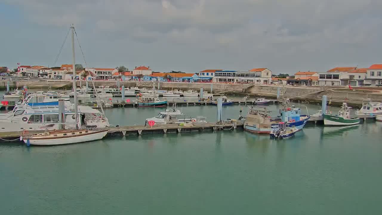 A harbor filled with numerous boats of varying sizes is situated in front of a village of low-rise buildings under a cloudy sky.