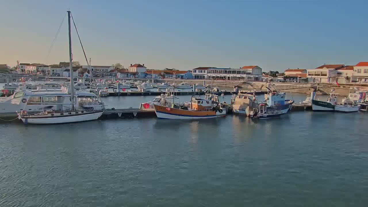 A harbor filled with sailboats and fishing boats is situated near a waterfront town under a clear, sunny sky.
