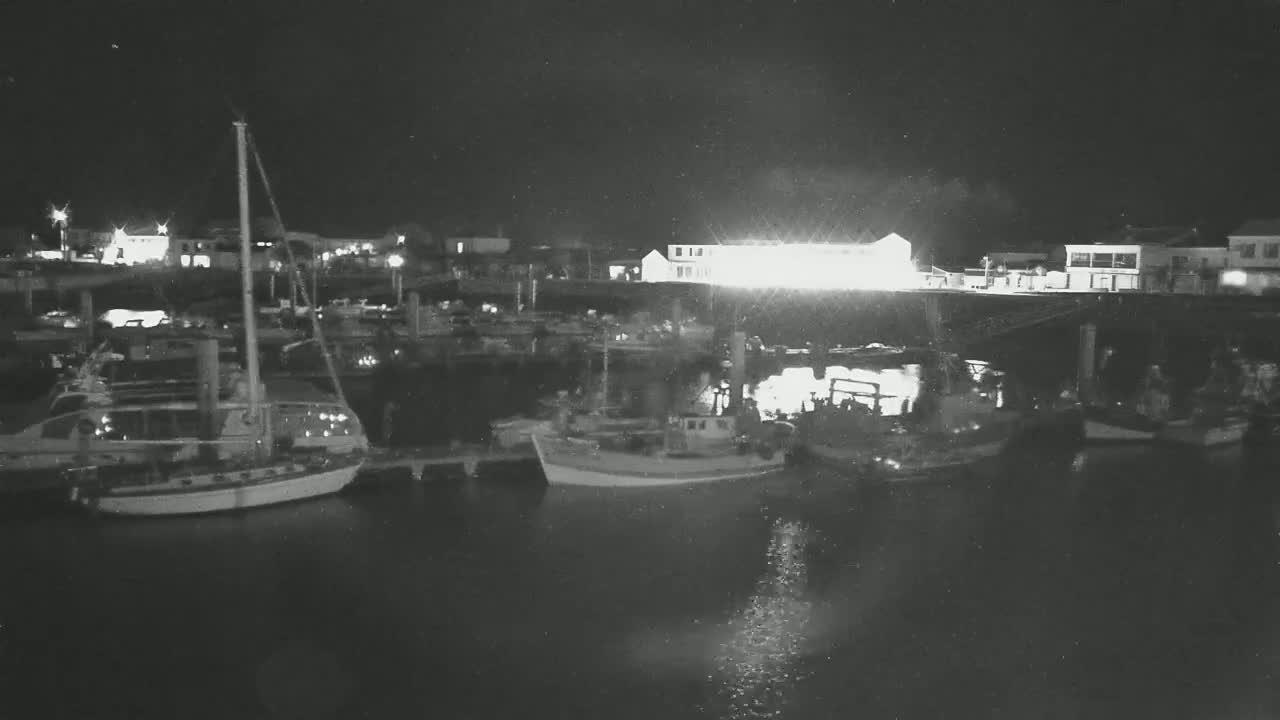 Several boats are moored at a harbor at night under a dark, possibly overcast sky.