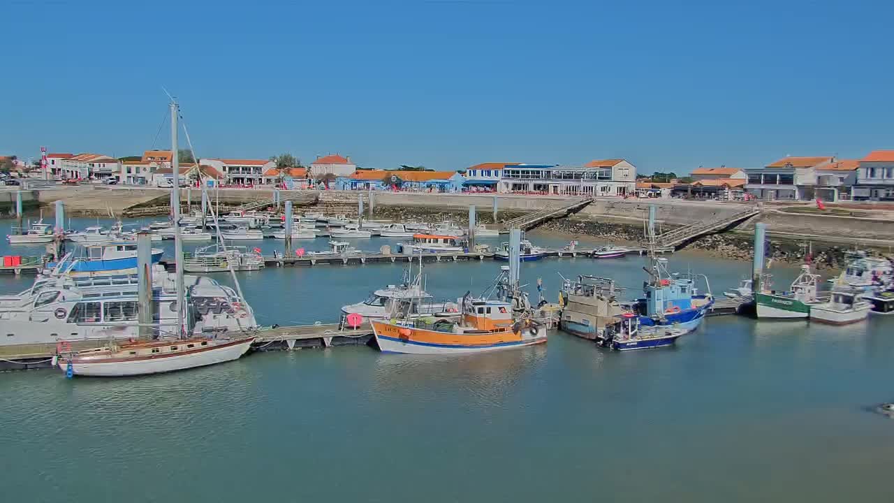Many boats are docked at a harbor in front of a waterfront village under a clear blue sky.