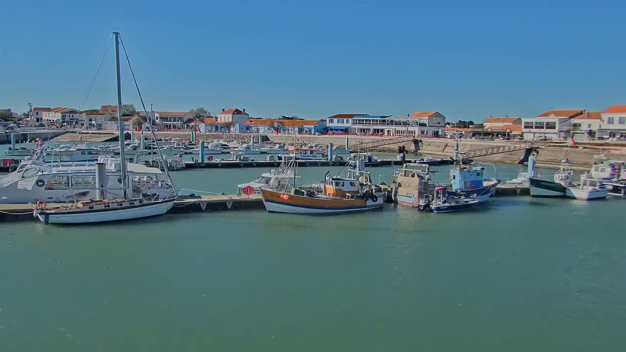 A harbor filled with various boats, including sailboats and fishing vessels, is situated in front of a waterfront town under a clear, sunny sky.