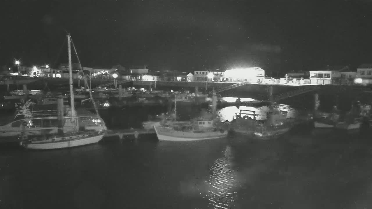 At night, several boats are docked at a marina next to a waterfront town with some buildings lit up.