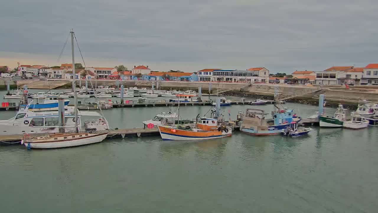 A harbor filled with various boats, including fishing vessels and sailboats, is situated in front of a waterfront town under an overcast sky.