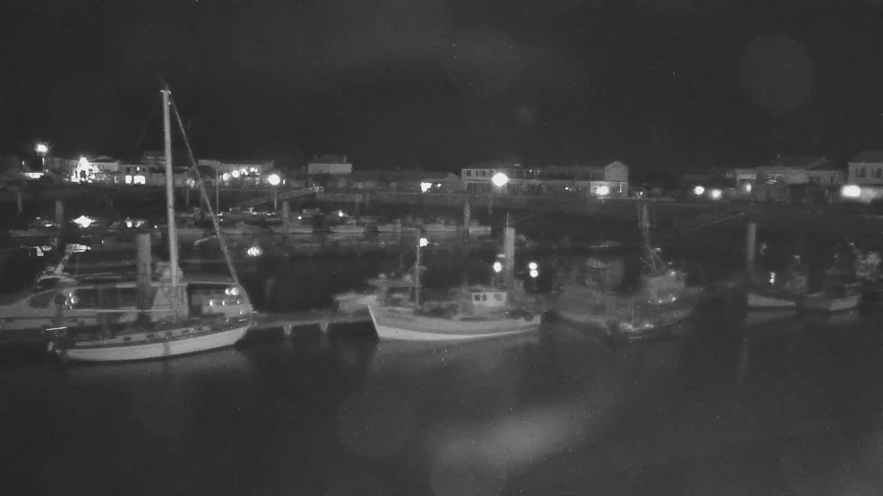 Several boats are moored in a harbor at night under a dark sky.