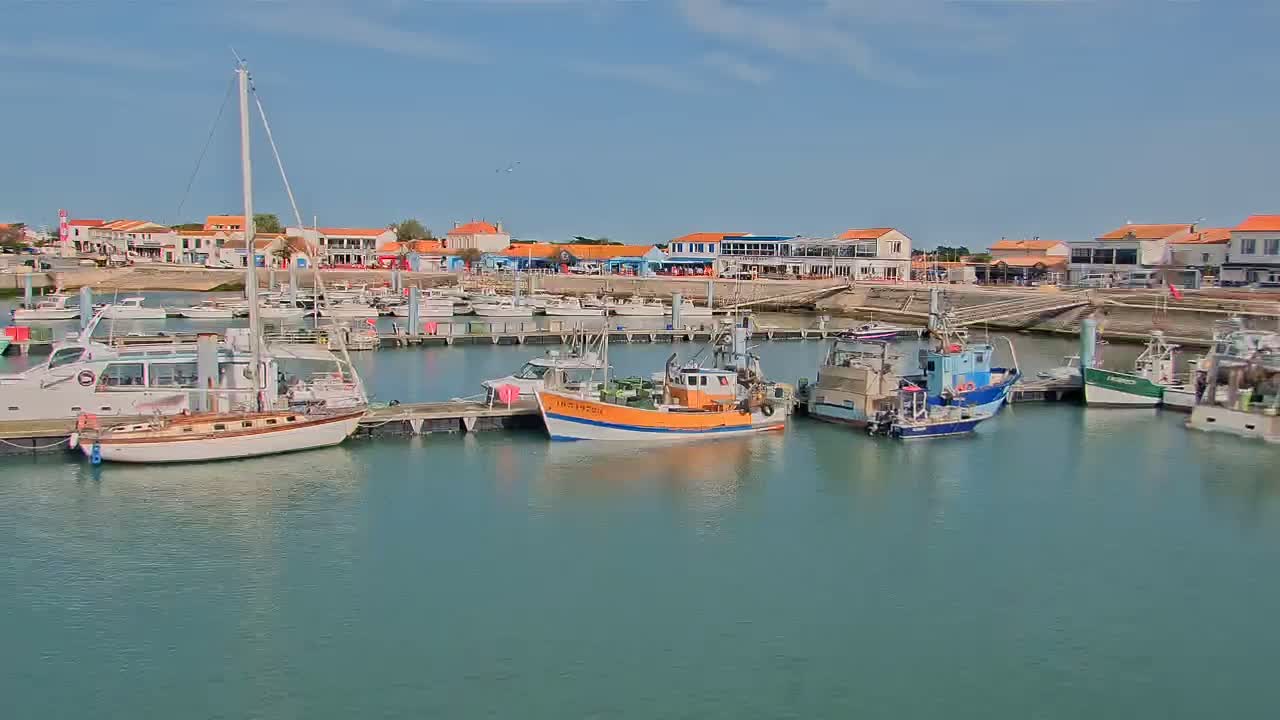 A harbor filled with various boats and yachts on a sunny day, with a waterfront town visible in the background.