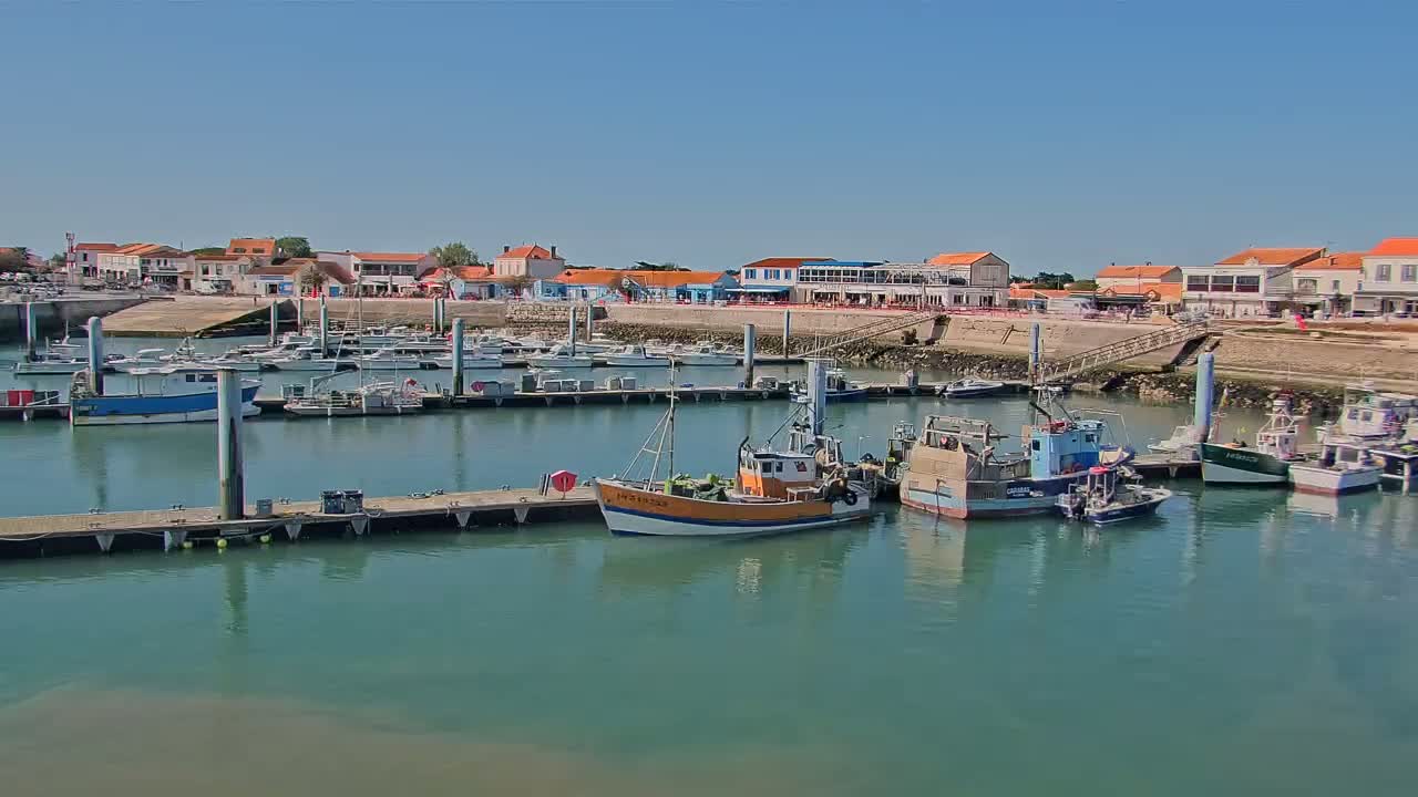 A harbor filled with numerous boats of various sizes, docked along a waterfront lined with buildings under a clear, sunny sky.