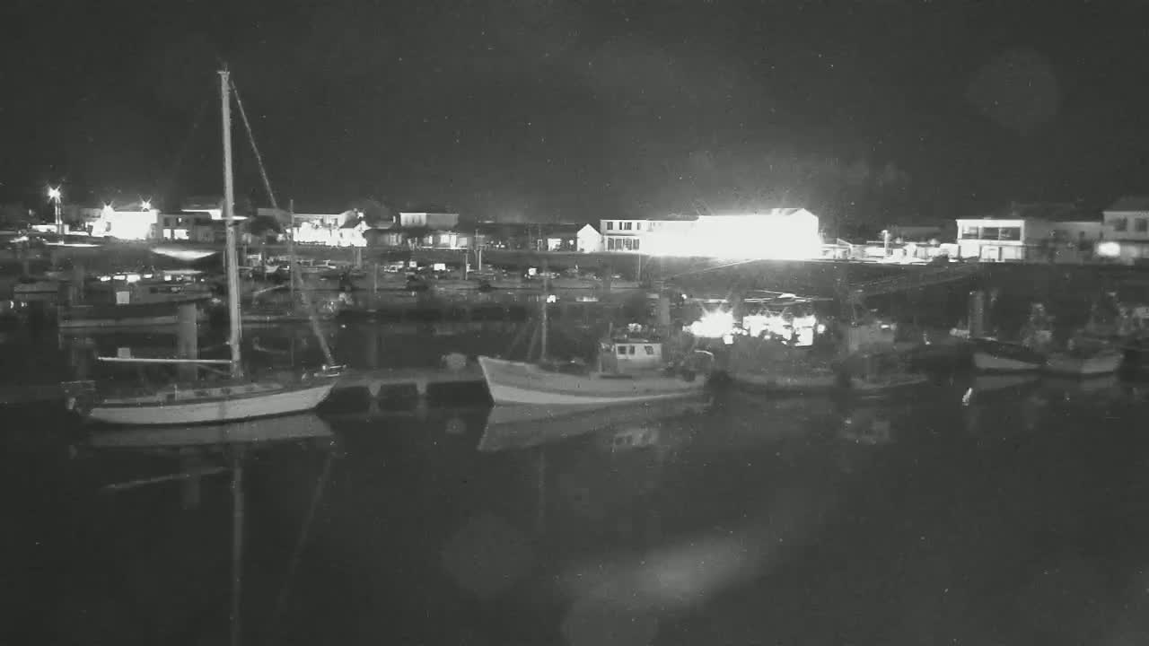 Several boats are moored in a harbor at night, their reflections visible in the calm water, with buildings and lights visible in the background.