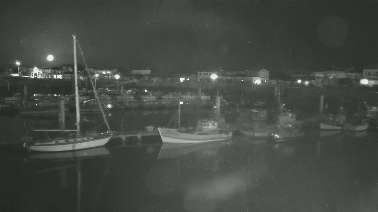 Several boats are moored in a harbor at night under a full moon.