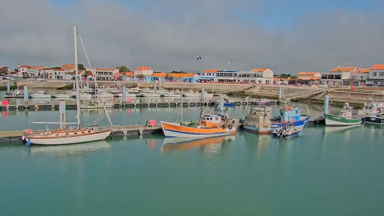 A harbor filled with sailboats and fishing vessels is situated in front of a waterfront village under a mostly cloudy sky.