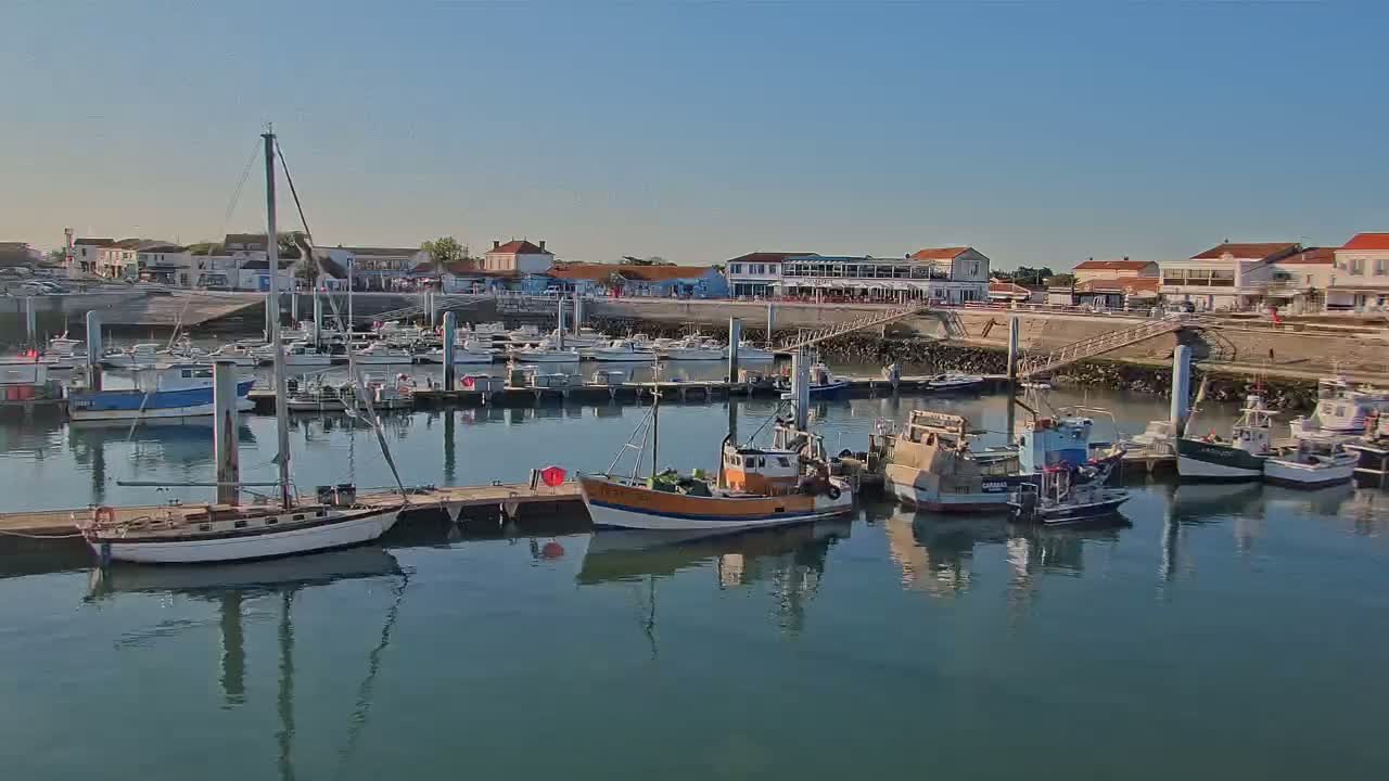 A calm harbor filled with various sized boats, moored along a dock in front of a waterfront village under a clear, sunny sky.
