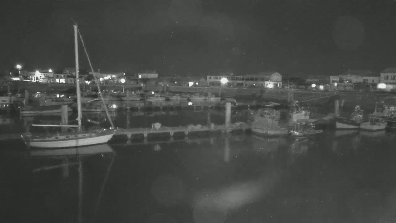 A nighttime view of a harbor filled with boats moored at docks, with buildings and lights visible in the background under a dark sky.