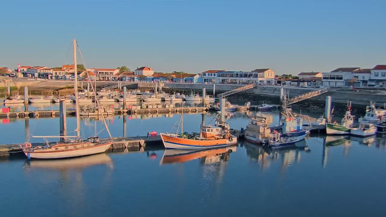 A calm harbor filled with sailboats and fishing boats is nestled next to a waterfront town under a clear blue sky.
