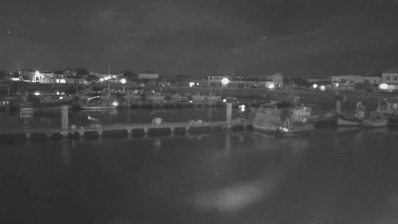 A nighttime view of a harbor filled with docked boats, illuminated by dim lights, under a dark sky.
