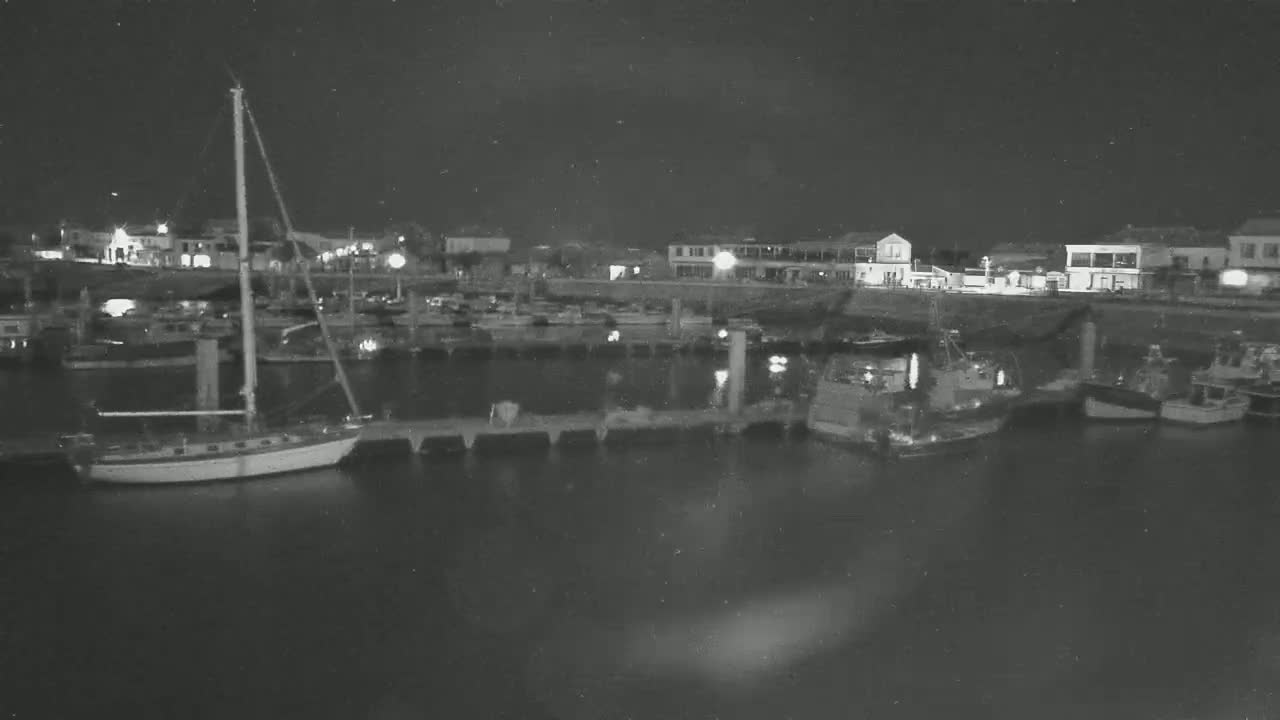 A nighttime view of a harbor shows numerous boats docked along a pier, with buildings visible on the shore under a dark sky.