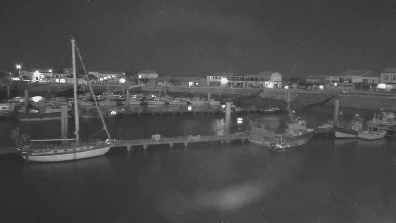 A nighttime, low-light view of a harbor filled with various boats docked at piers, in front of buildings illuminated by lights.