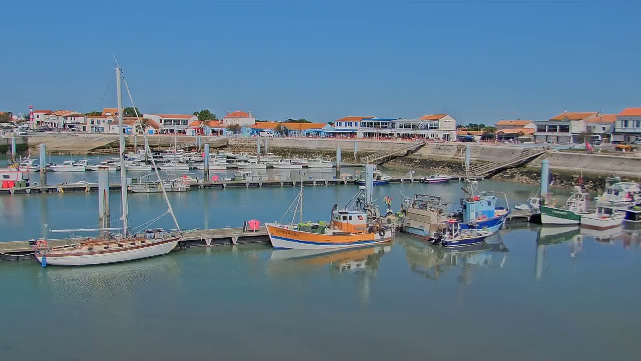 A harbor filled with sailboats and fishing boats on a sunny day, backed by a waterfront town.